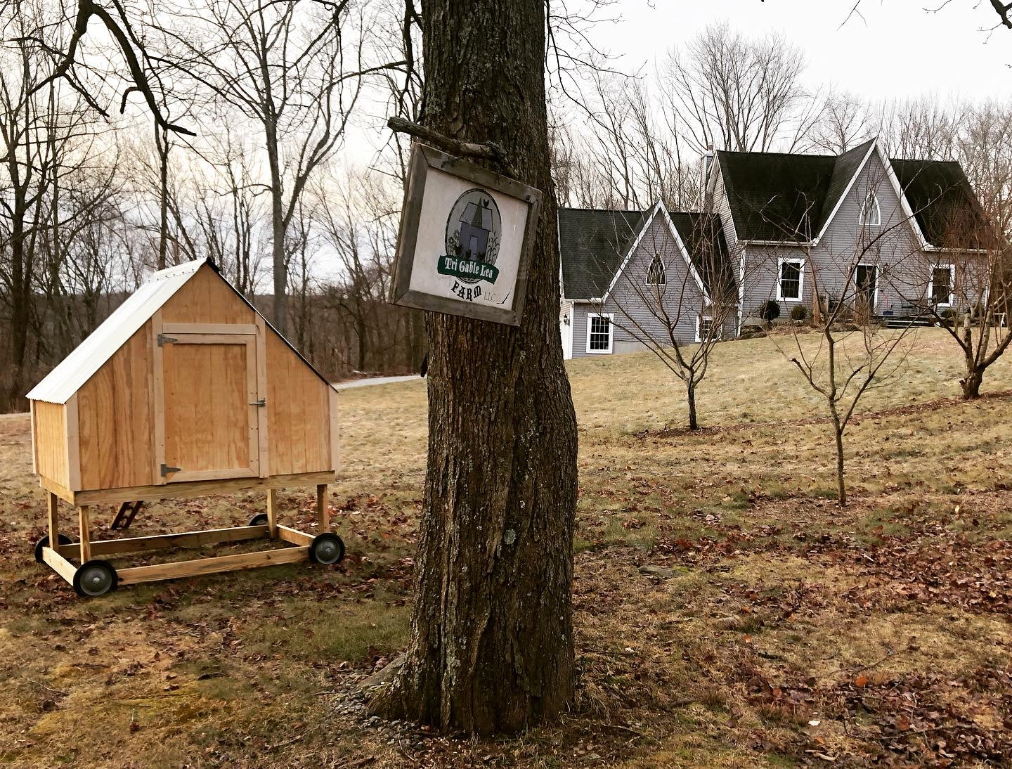 Newly Updated! - Get Your Grove On! Mastering Front Yard Fruit Trees, Grape Vines, & Berries