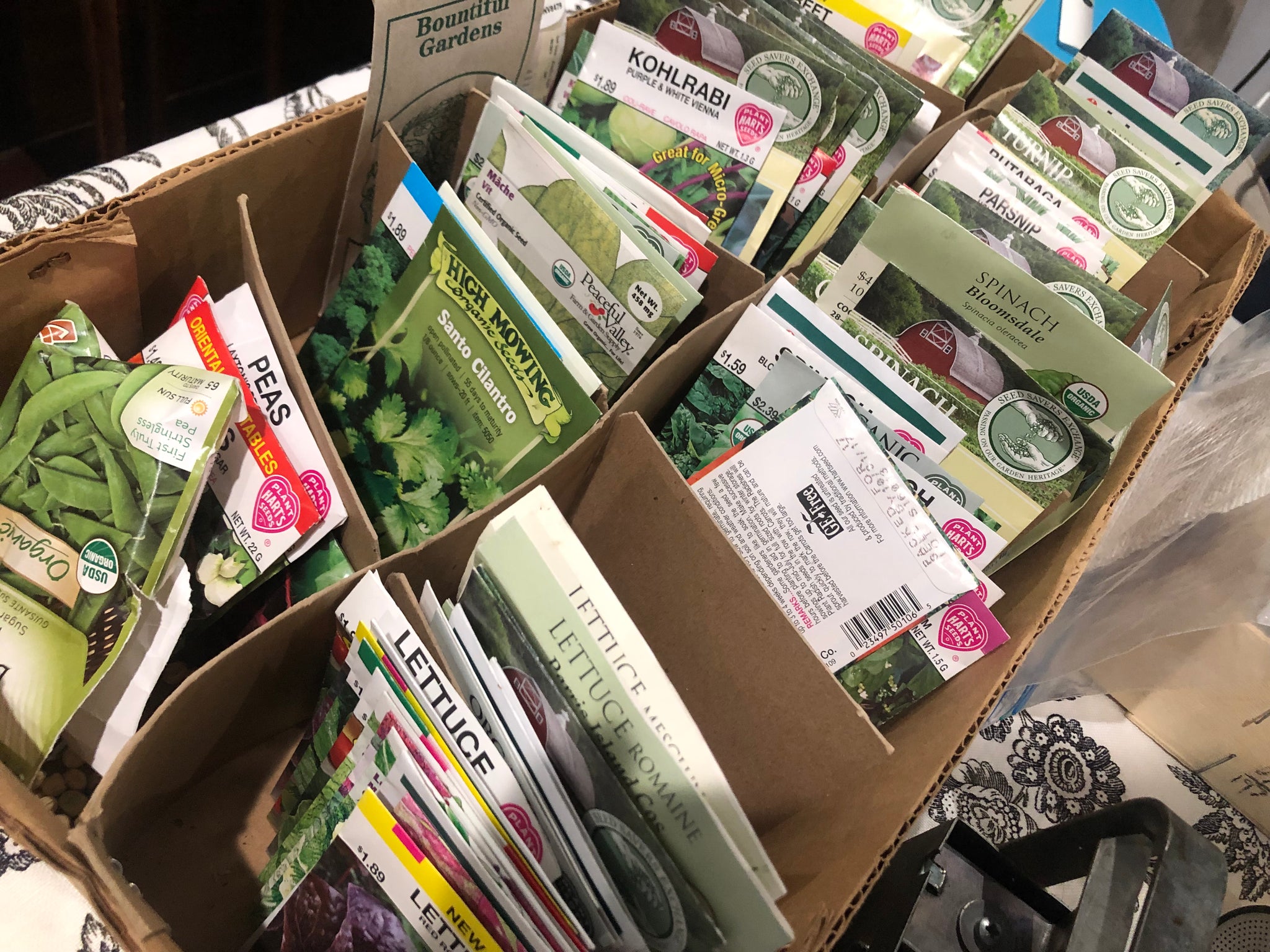 Sprout Your Success: A Beginner's Guide to Seed Starting