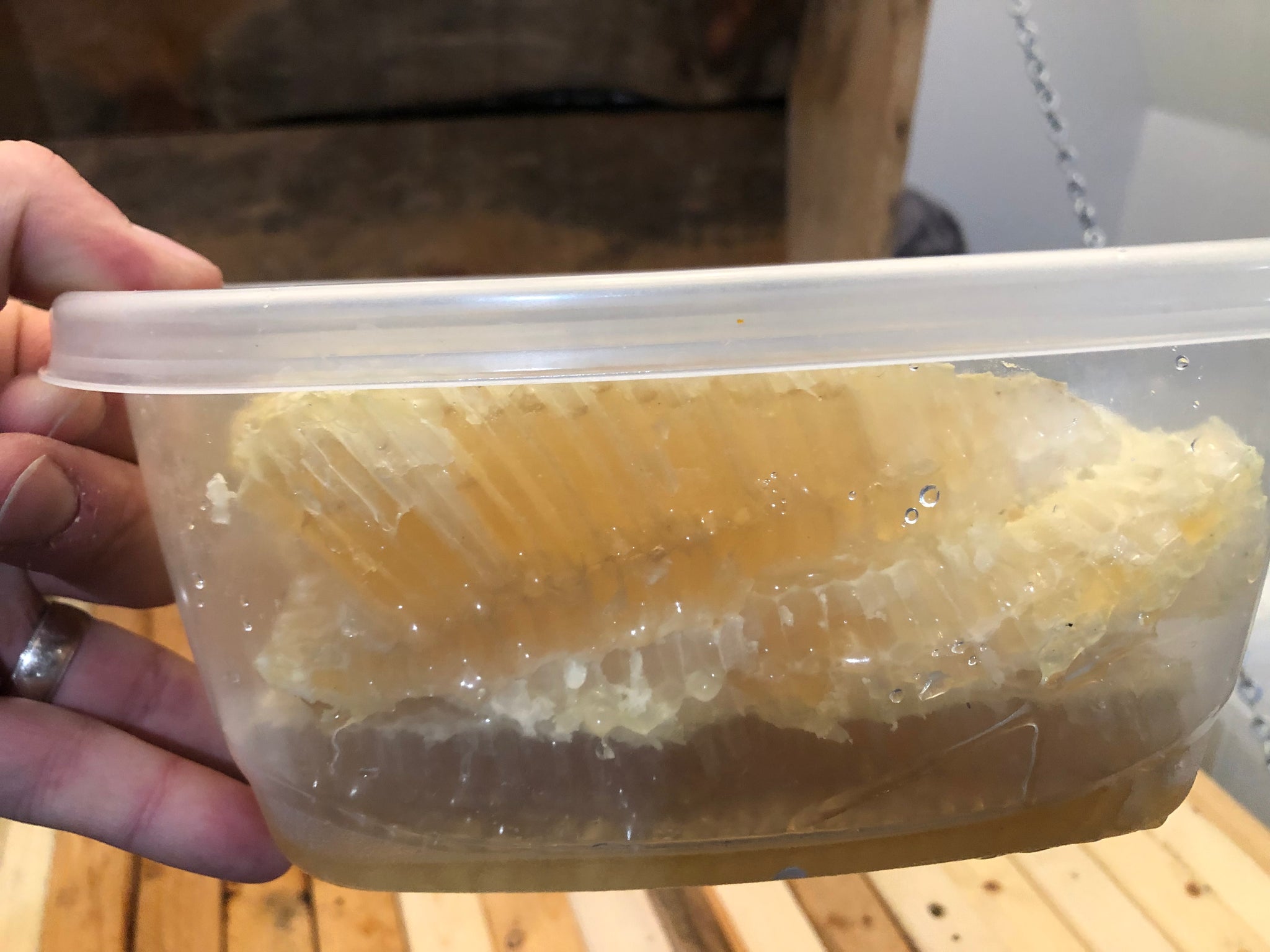 The Buzz on Beekeeping: A Beginner's Guide