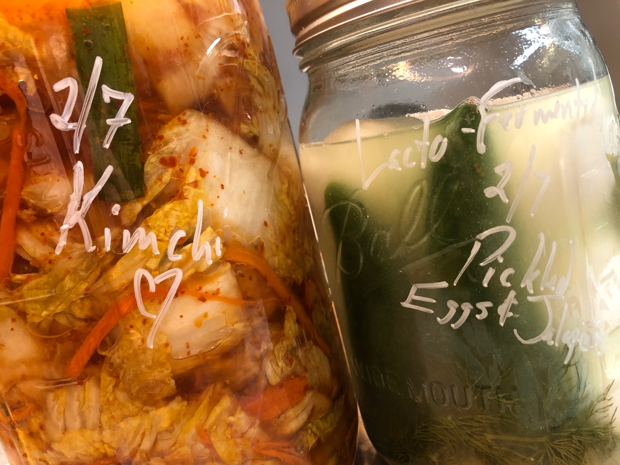 Sour and Savory: Mastering the Art of Fermented Foods - 90 min