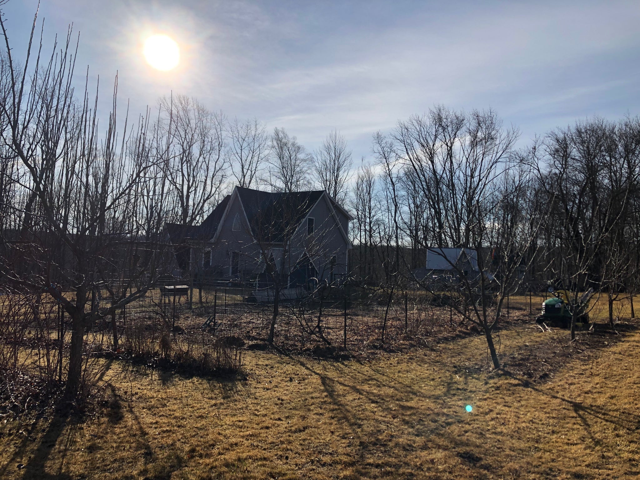 Newly Updated! - Get Your Grove On! Mastering Front Yard Fruit Trees, Grape Vines, & Berries