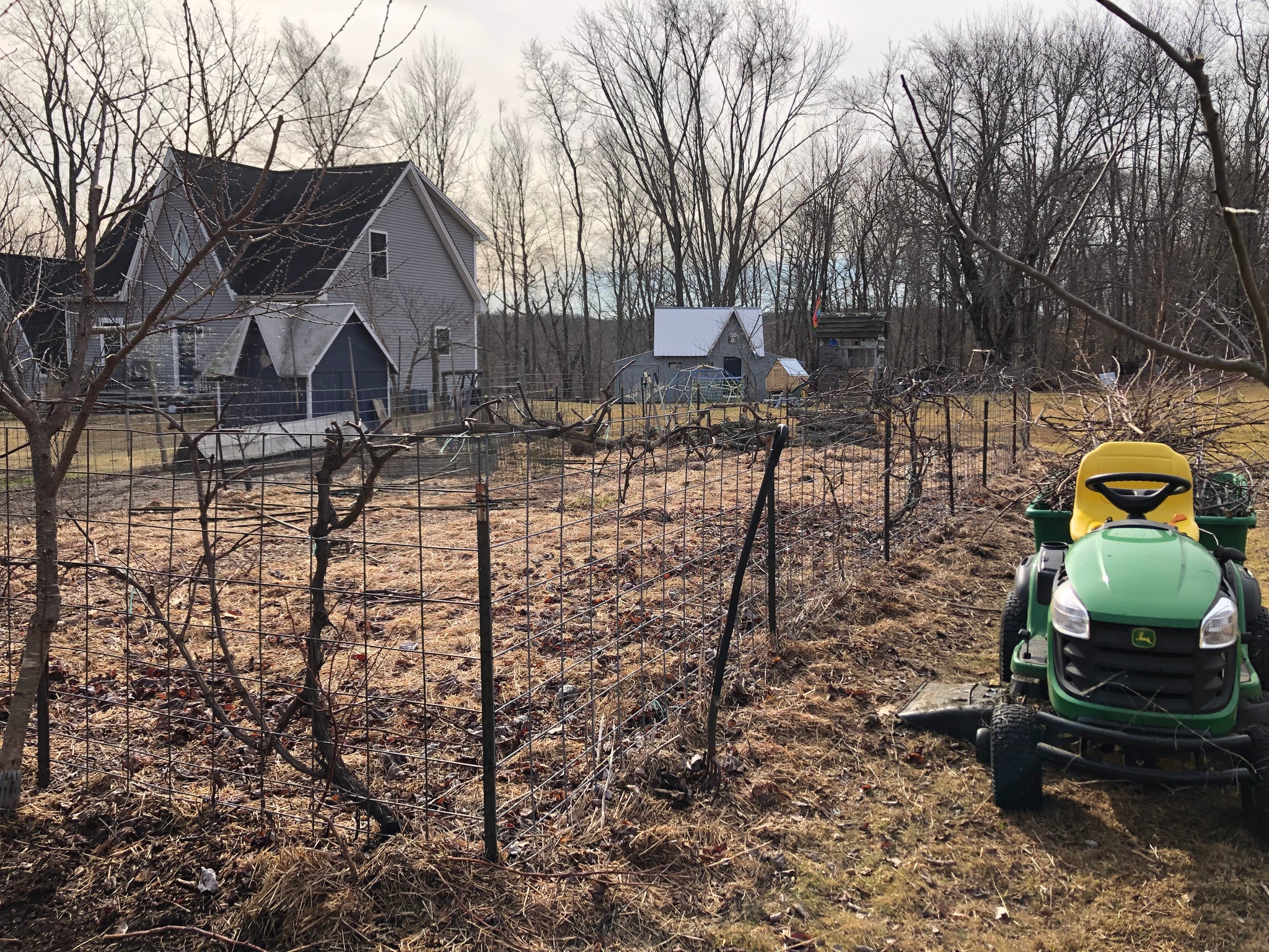 Newly Updated! - Get Your Grove On! Mastering Front Yard Fruit Trees, Grape Vines, & Berries