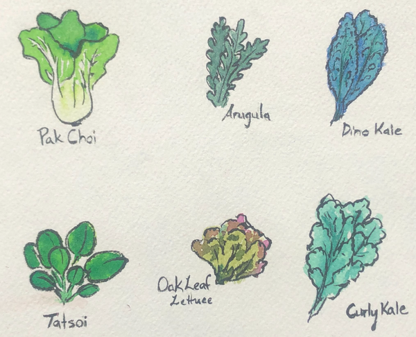 Newly Updated! - The Art of Container Gardening: Designing, Planting, and Maintaining Your Own Urban Oasis