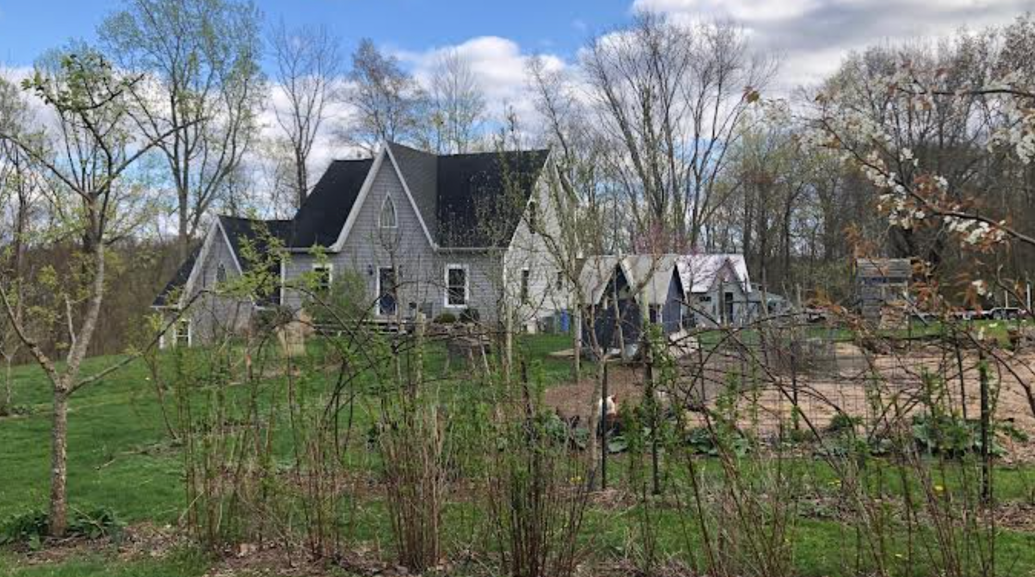 Newly Updated! - Get Your Grove On! Mastering Front Yard Fruit Trees, Grape Vines, & Berries