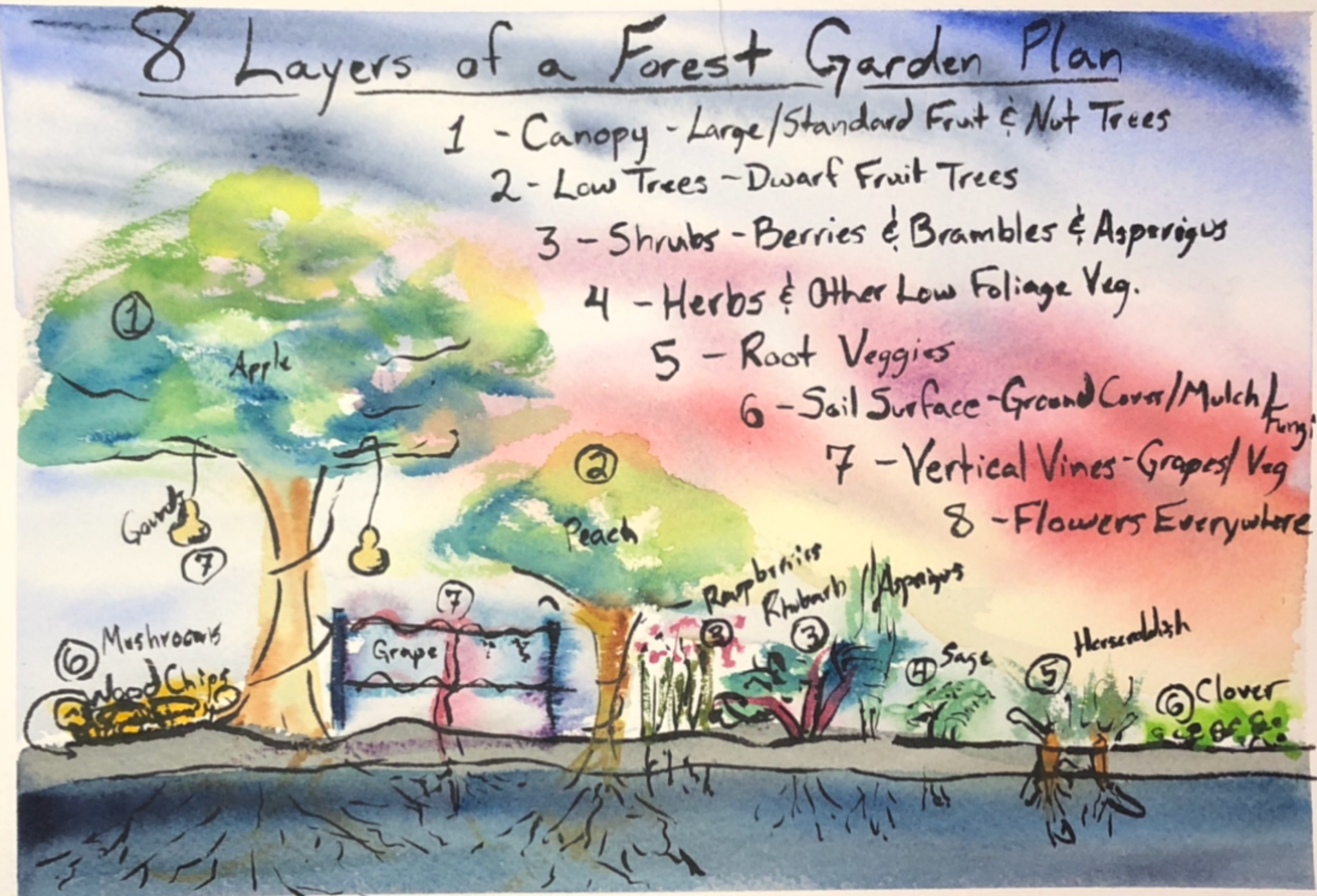 Newly Updated! - Get Your Grove On! Mastering Front Yard Fruit Trees, Grape Vines, & Berries