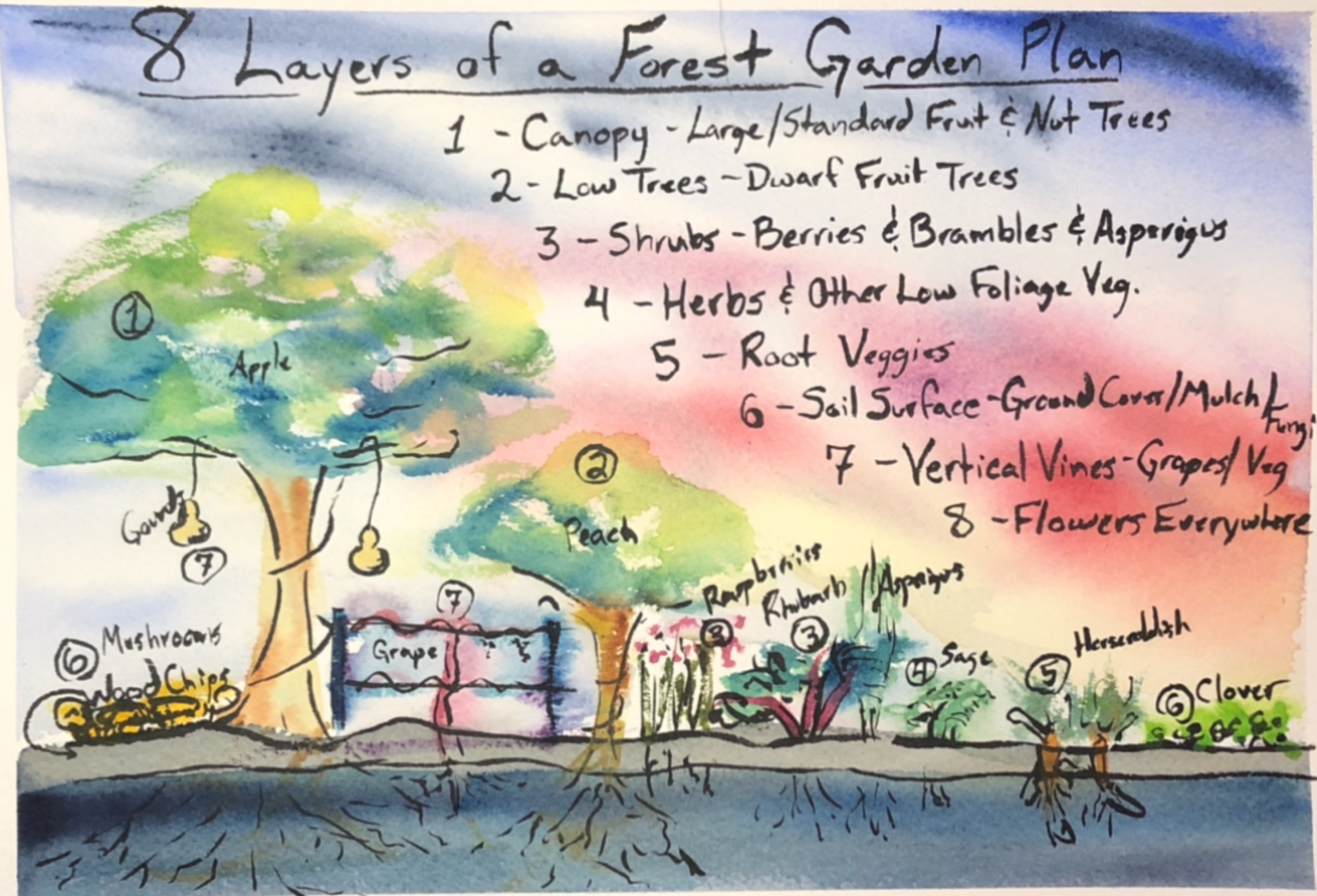 Get Your Grove On! Mastering Front Yard Fruit Trees, Grape Vines, & Berries - 90 min