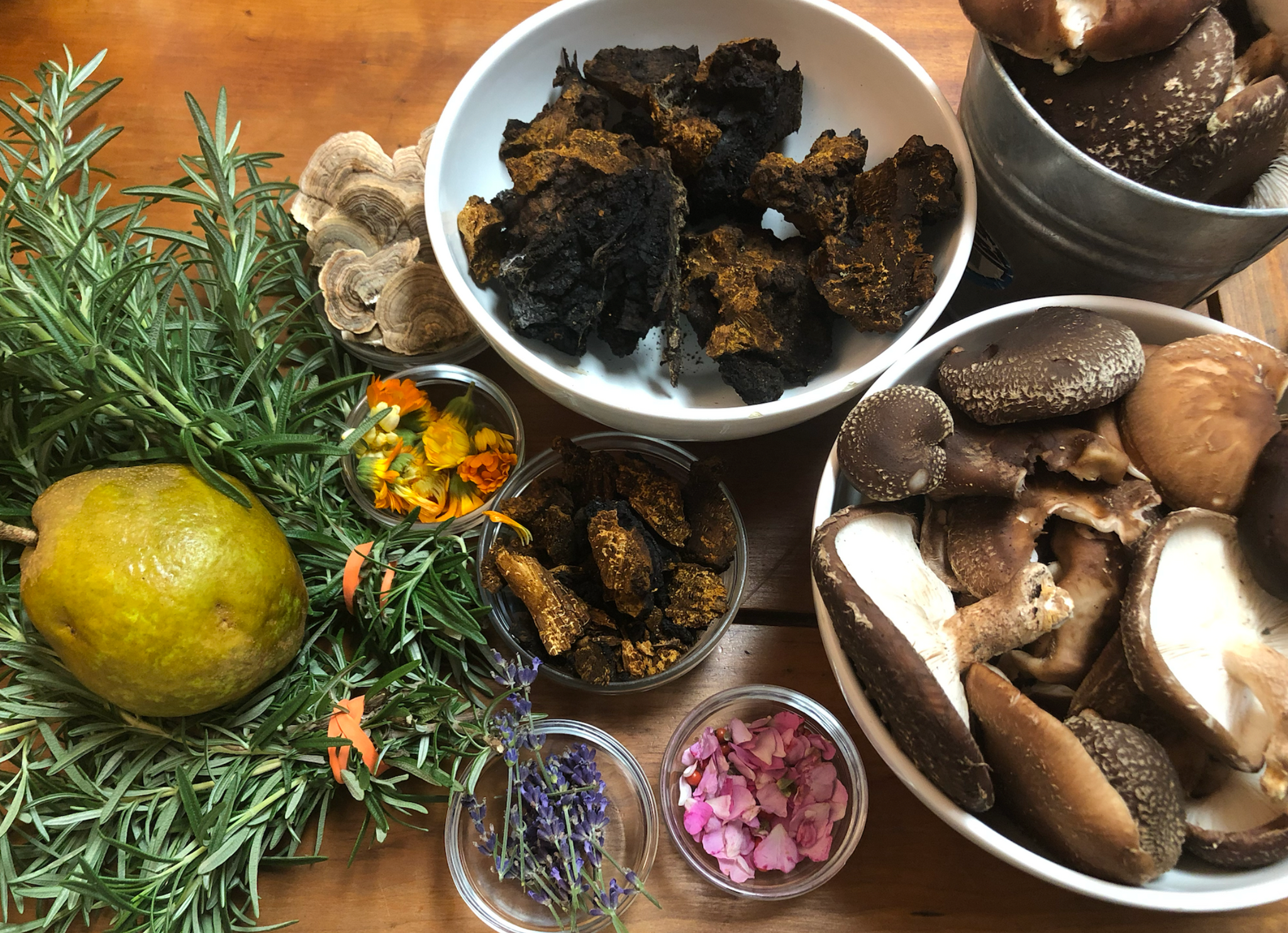 Newly Updated! - Master the Art of Preserving Your Harvest: Pickling, Canning, Freezing & Drying Techniques