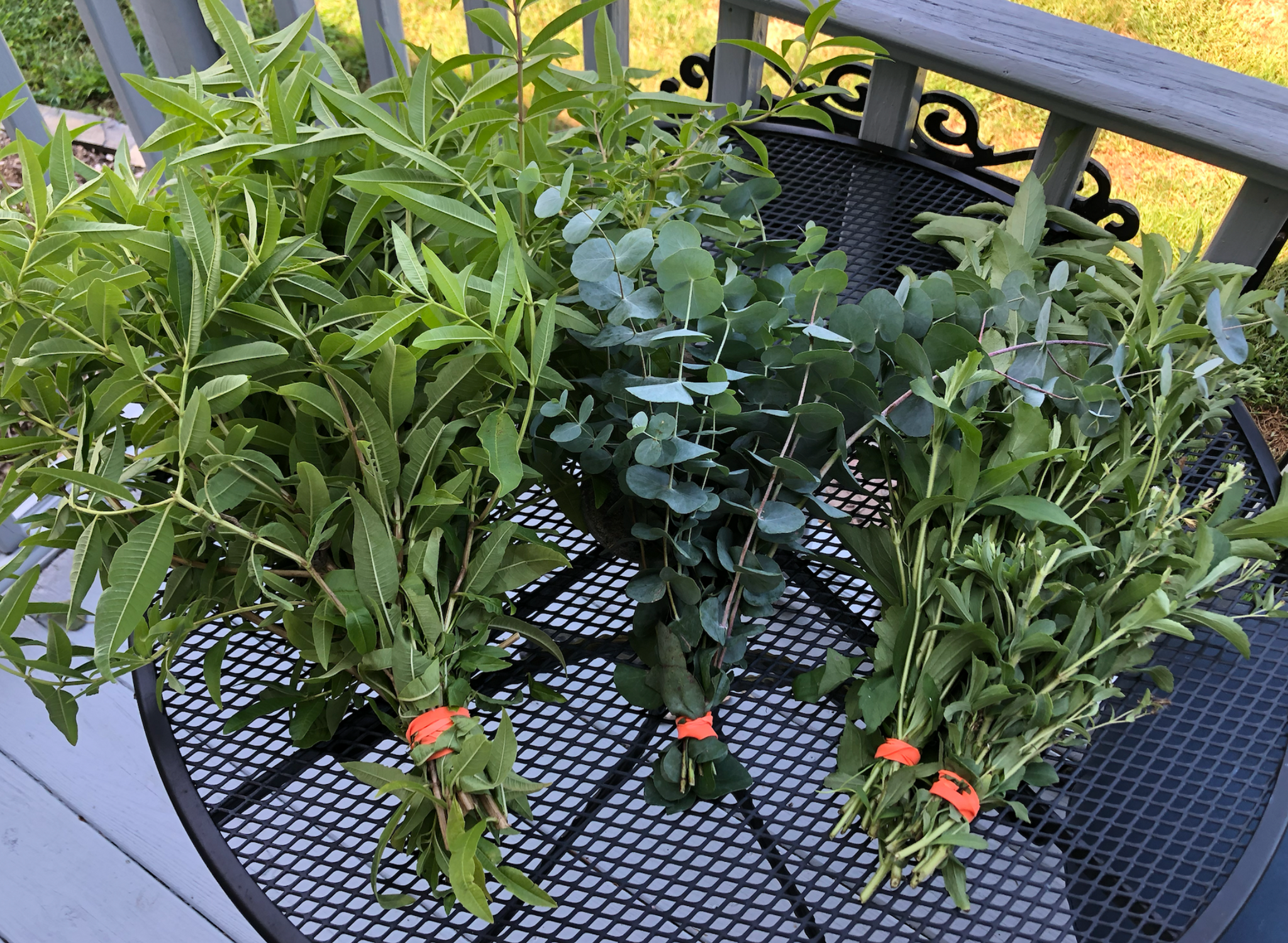 Newly Updated! - Master the Art of Preserving Your Harvest: Pickling, Canning, Freezing & Drying Techniques