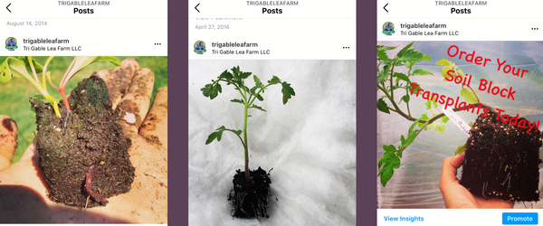 New - Cultivating Sustainability: The Art of Soil Blocks for Greener Gardens