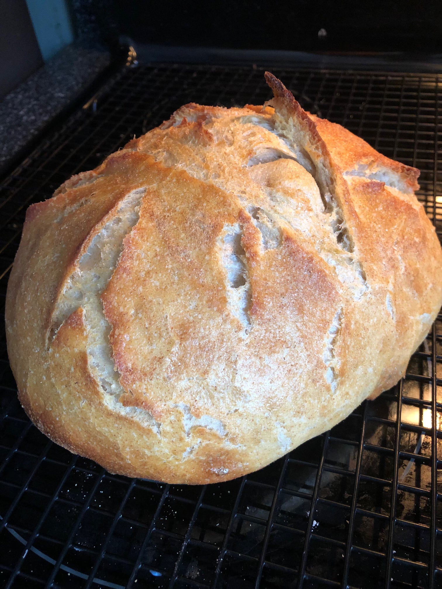 Sourdough 101: From Starter to Loaf in No Time