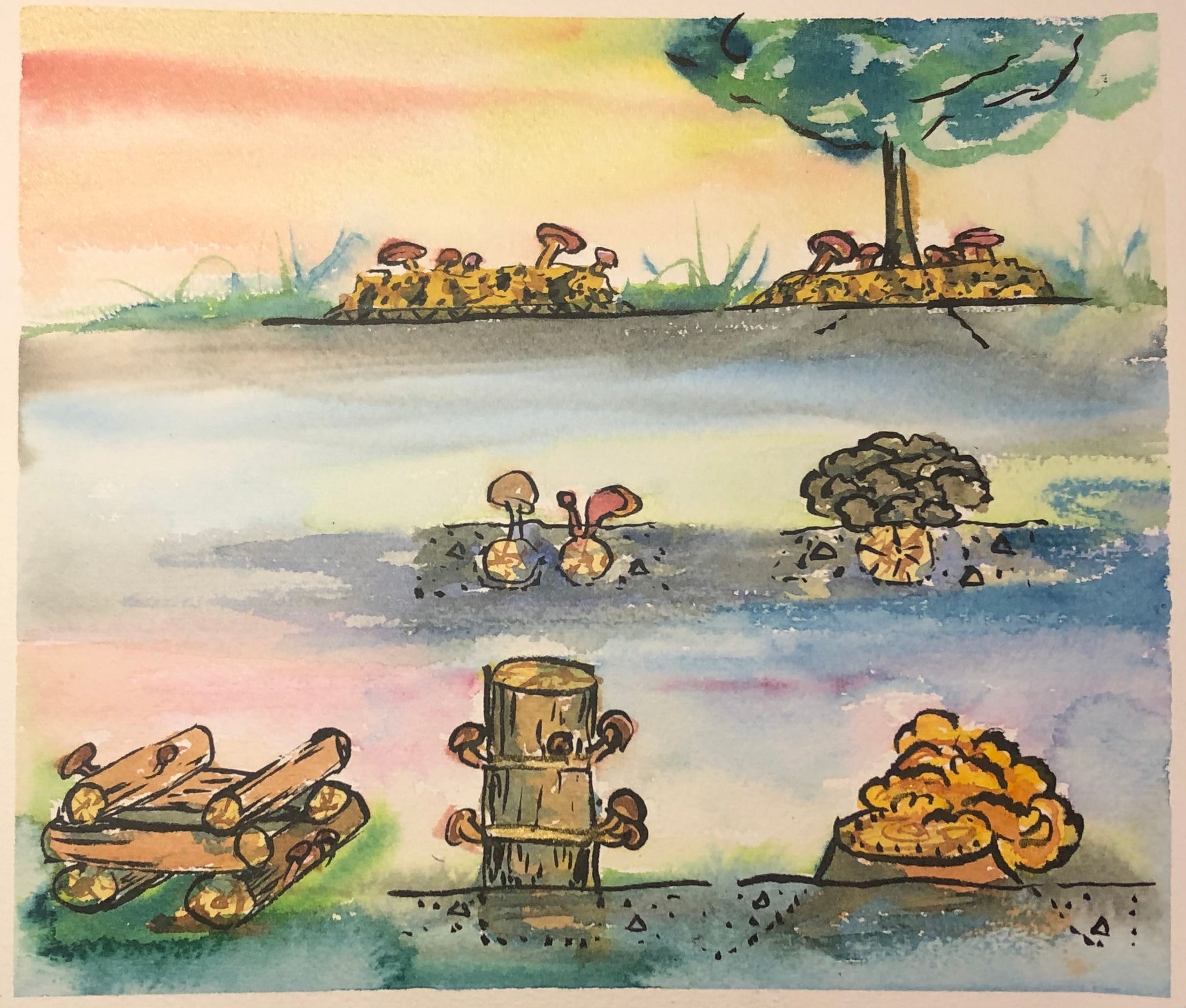 Mushroom Mastery: The Ultimate Guide to Fungi Farming Outdoors - 4+ hrs