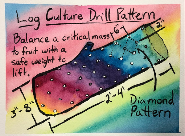 Mushroom Mastery: The Ultimate Guide to Fungi Farming Outdoors - 4+ hrs