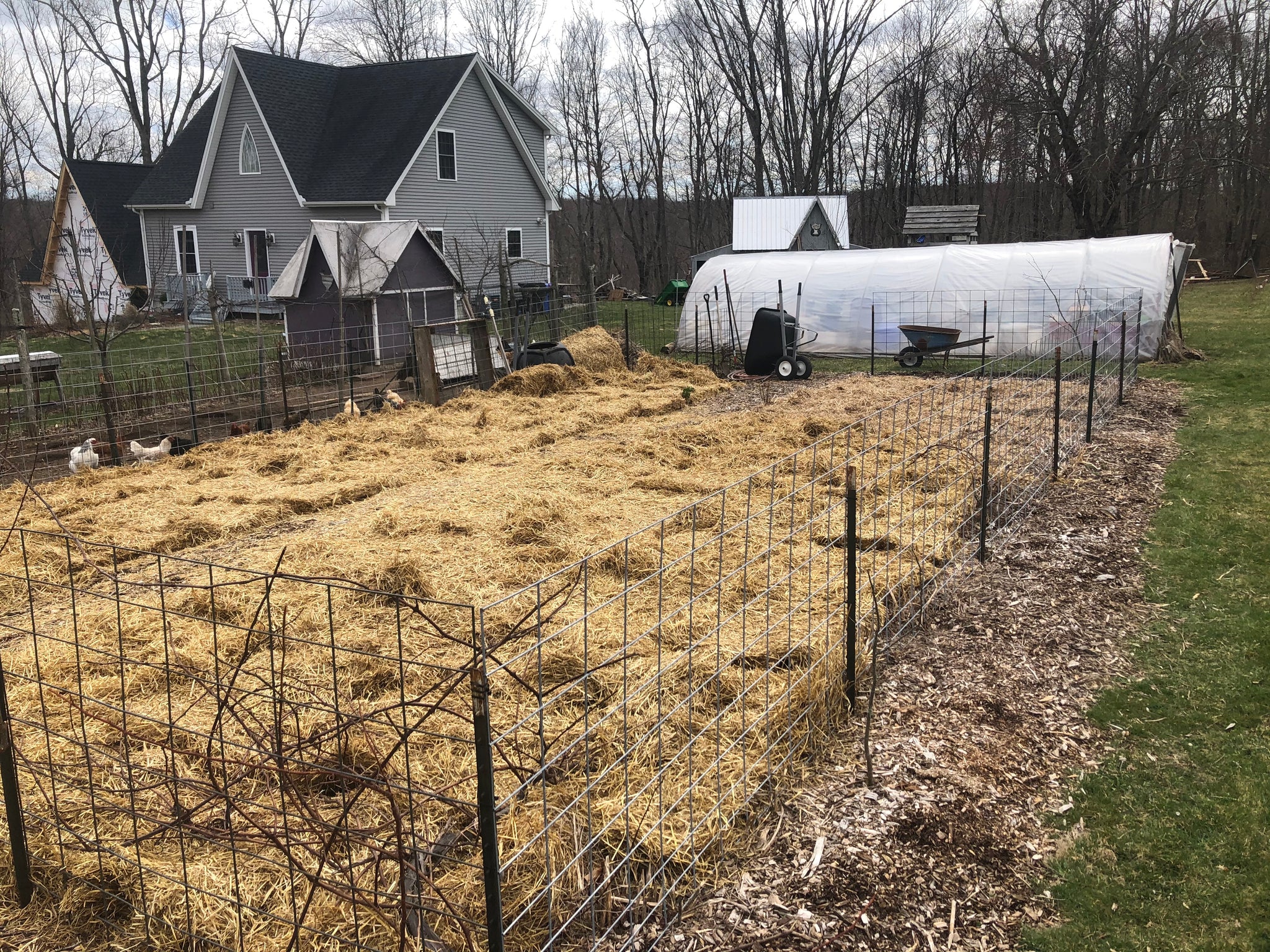 Effortless Gardening: Master the Art of No-Till Growing
