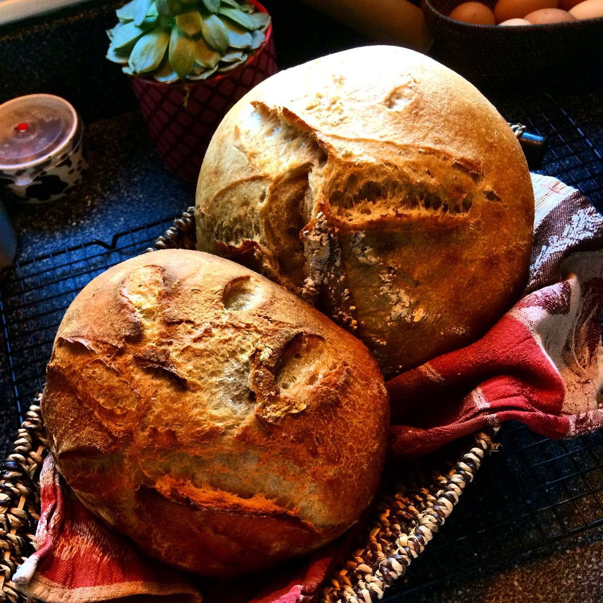 Sourdough 101: From Starter to Loaf in No Time