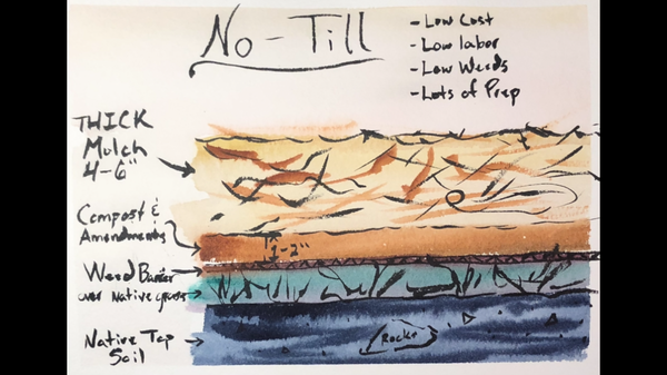 Effortless Gardening: Master the Art of No-Till Growing