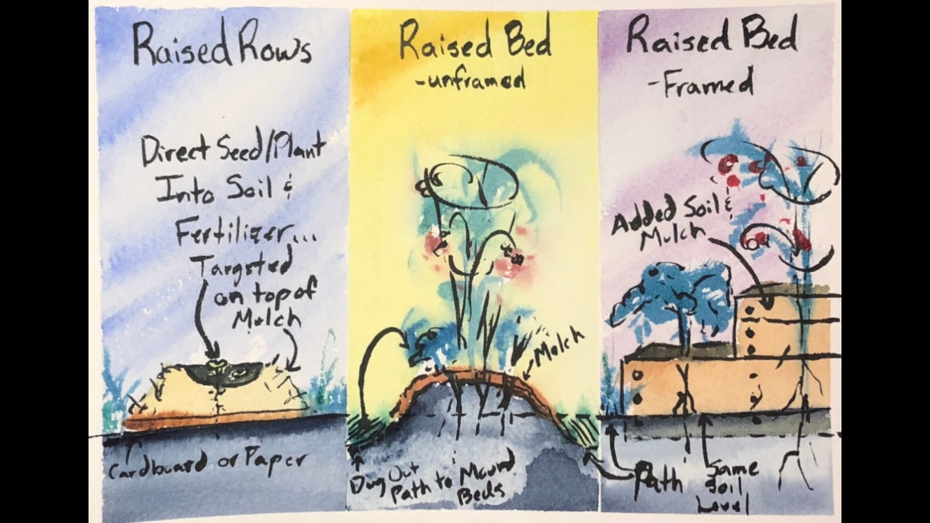 Effortless Gardening: Master the Art of No-Till Growing
