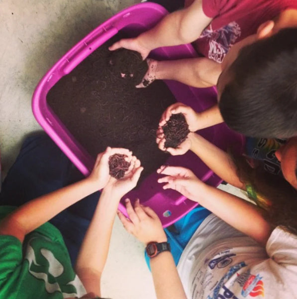 Newly Updated! - The Art of Composting: From Piles to Teas