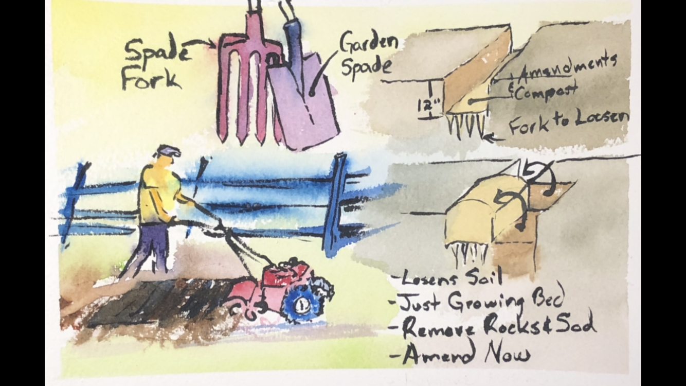 Effortless Gardening: Master the Art of No-Till Growing