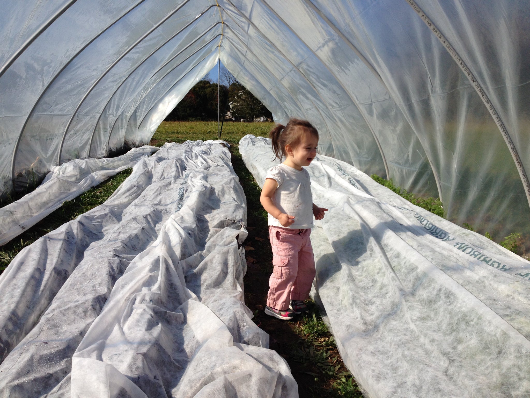 New! - Extend Your Growing Season: Mastering Fall, Winter, and Spring Crops