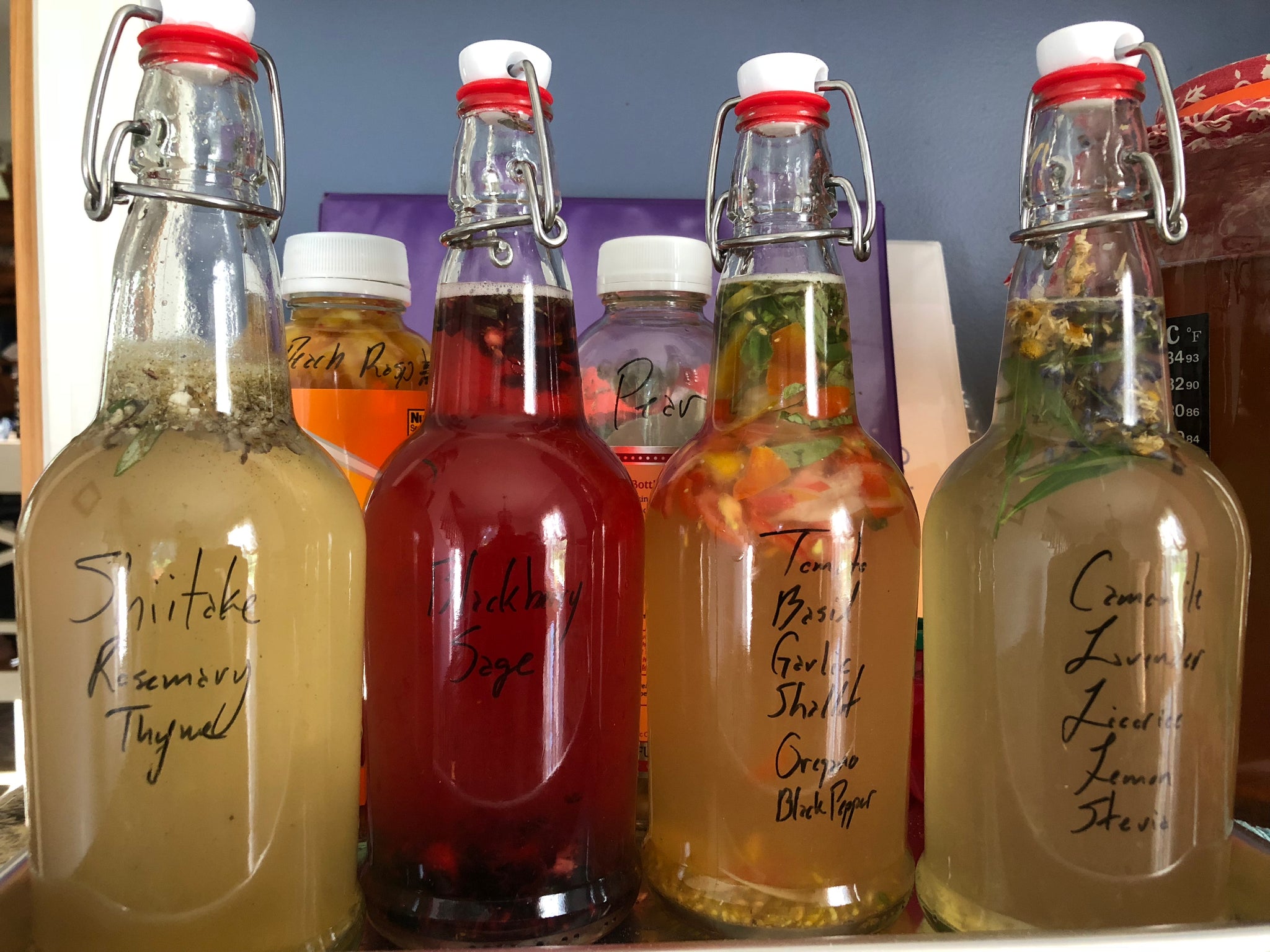 Raise a Glass to Fermentation: Homemade Kombucha and More - 90 min