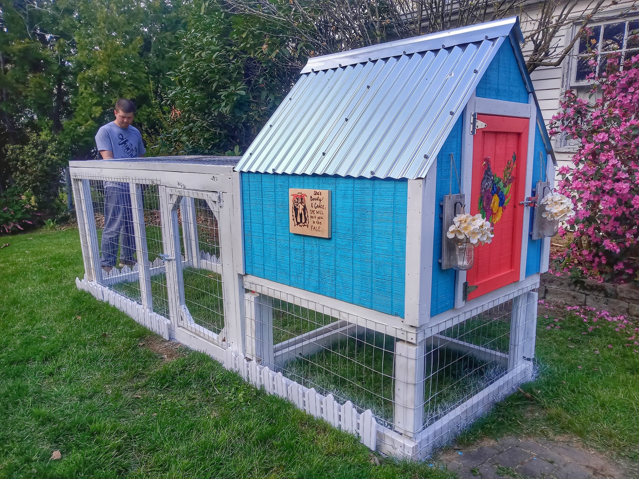 The Cape - Chicken Coop