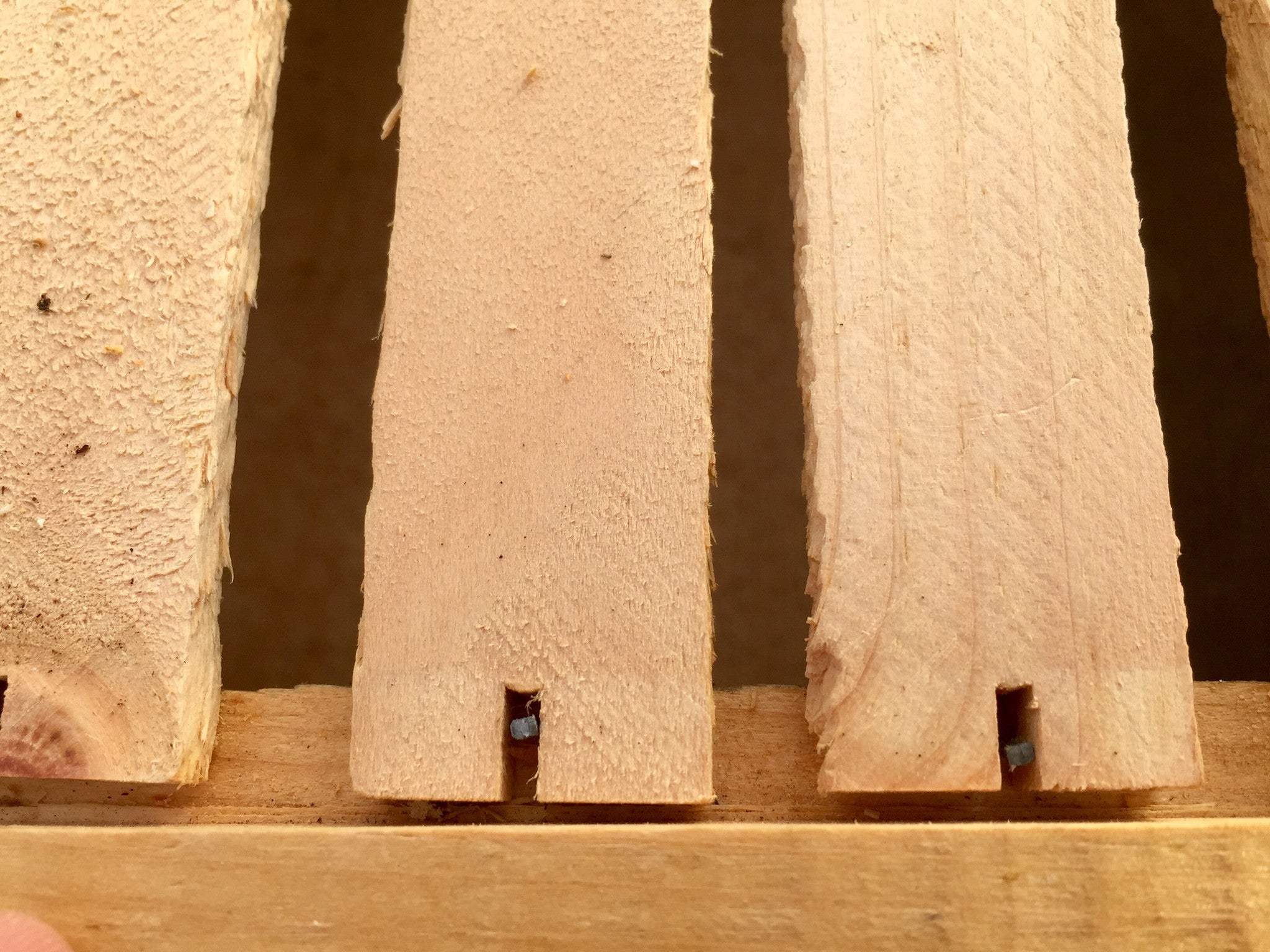 Tri Gable Lea Warré Complete Hive Kit