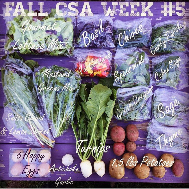New! - Extend Your Growing Season: Mastering Fall, Winter, and Spring Crops