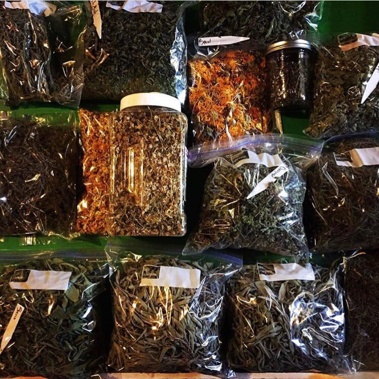 Newly Updated! - Master the Art of Preserving Your Harvest: Pickling, Canning, Freezing & Drying Techniques