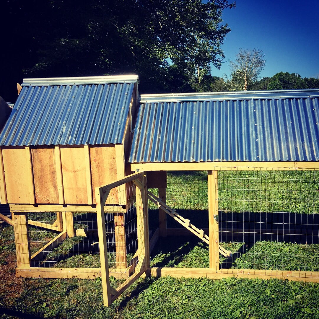 Raise the Coop: The Ultimate Guide to Backyard Chicken Keeping