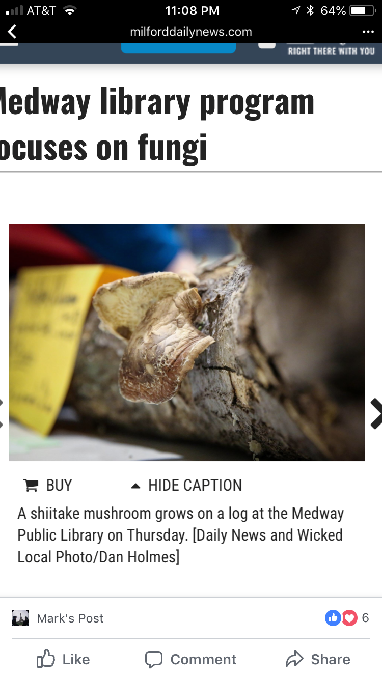 Fungi Frenzy: A Beginner's Guide to Outdoor Mushroom Growing