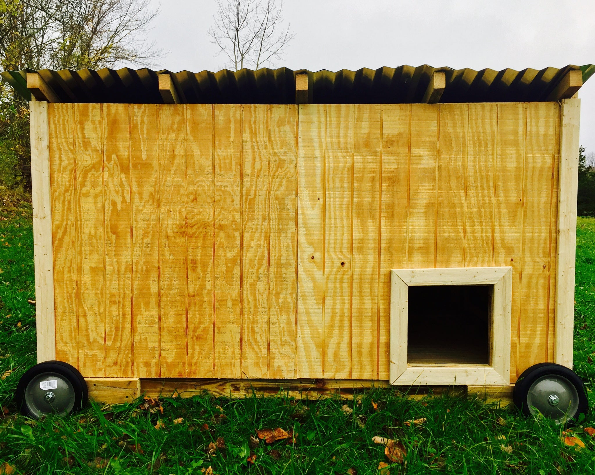 Waterfowl Coop (for Ducks and Geese)