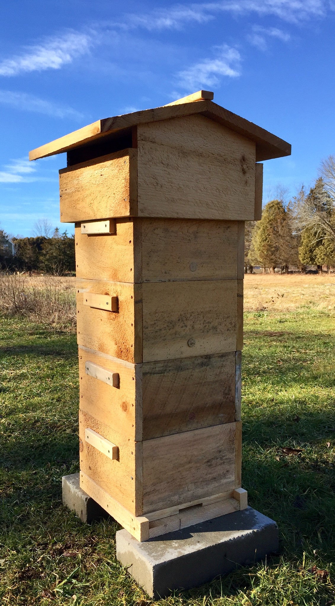 Tri Gable Lea Warré Complete Hive Kit