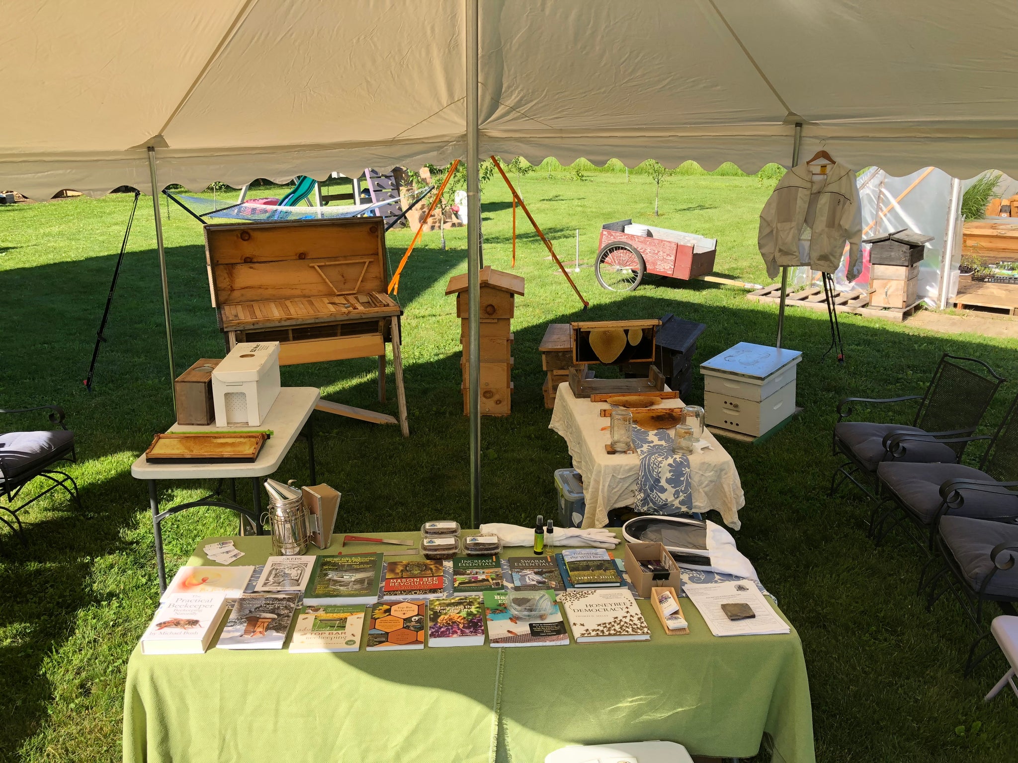 The Buzz on Beekeeping: A Beginner's Guide