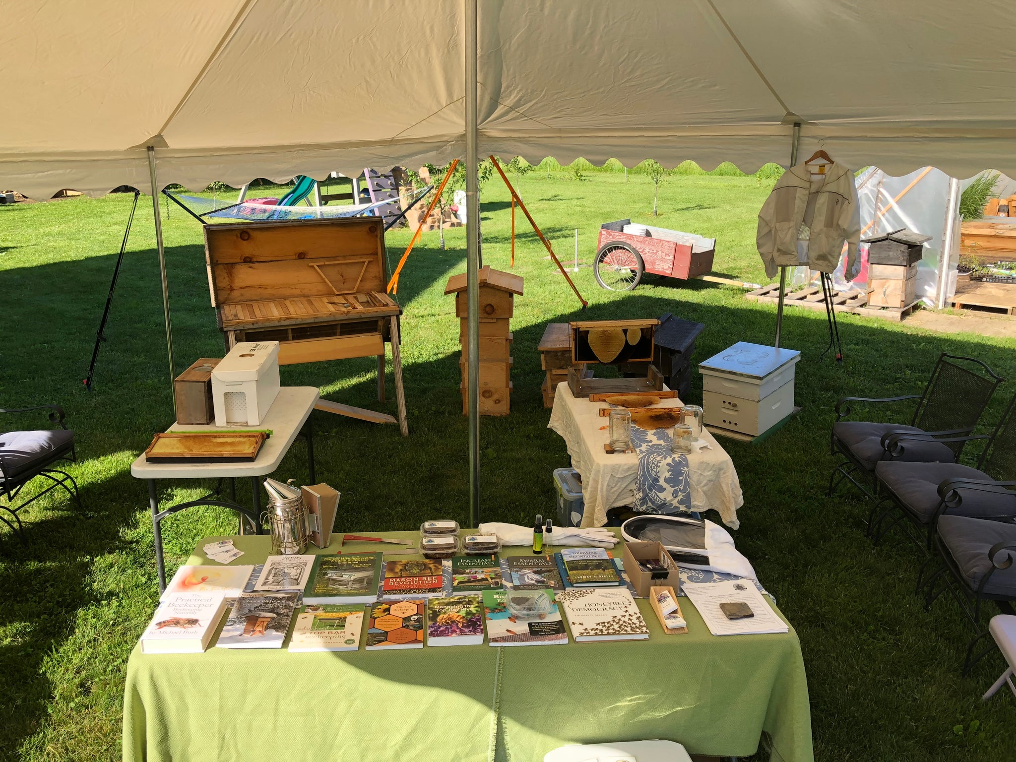 The Buzz on Beekeeping: A Beginner's Guide - 2hr