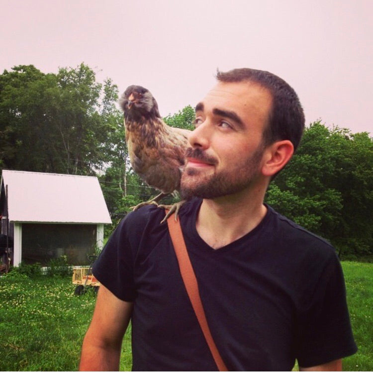 Raise the Coop: The Ultimate Guide to Backyard Chicken Keeping
