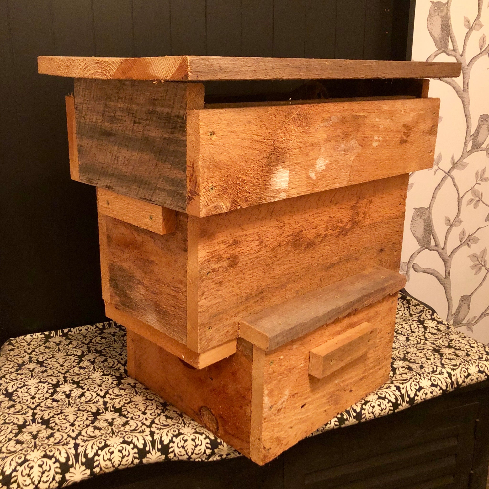 Nuc Down - Transfer 5 Frame Langstroth Nuc to Warré Hive