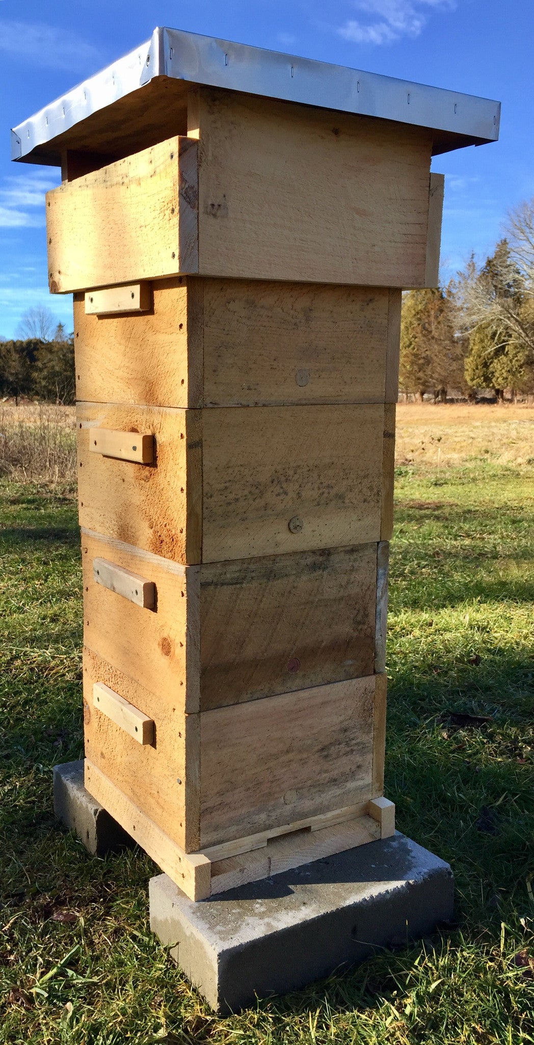 Tri Gable Lea Warré Complete Hive Kit