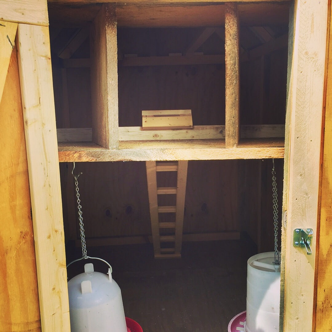 The Poultry Barn