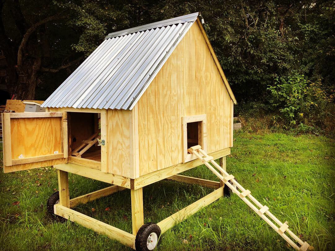 The Cape - Chicken Coop