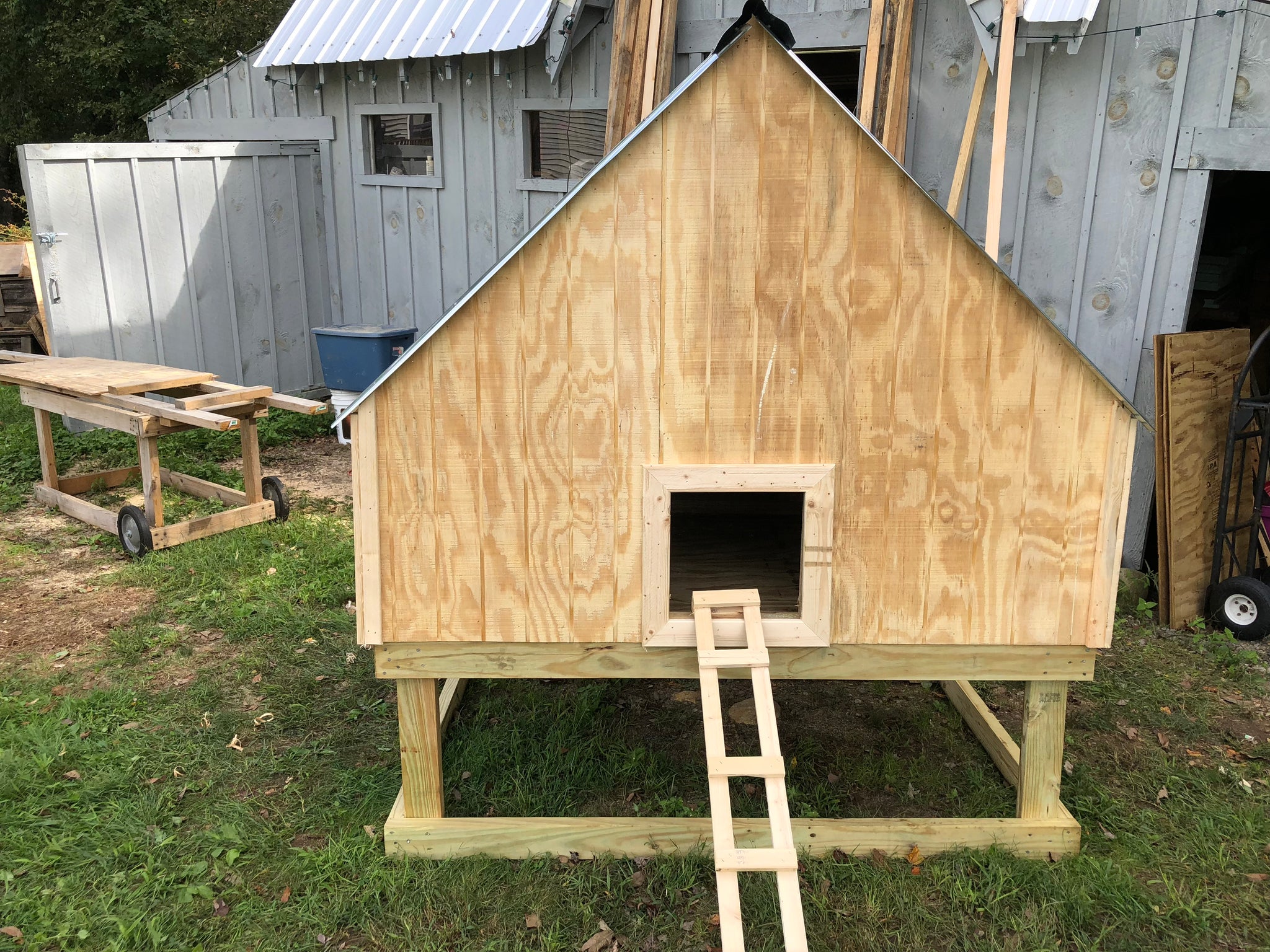 The Cape - Chicken Coop