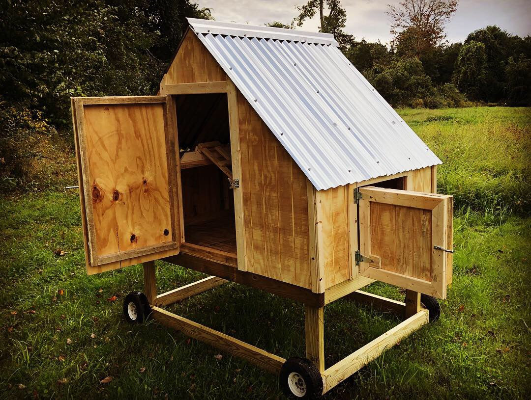 The Cape - Chicken Coop