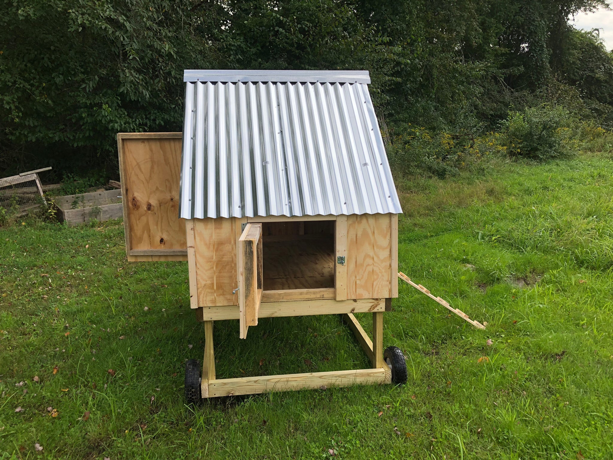 The Cape - Chicken Coop