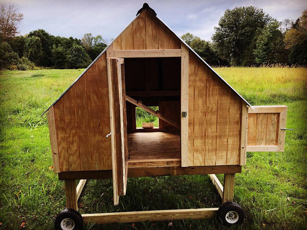 The Cape - Chicken Coop