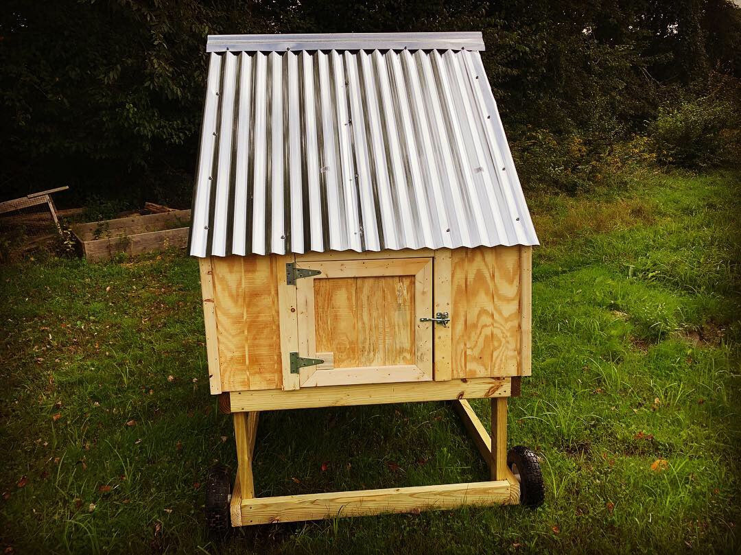 The Cape - Chicken Coop