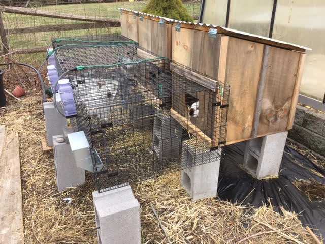 Modular Rabbit Hutch
