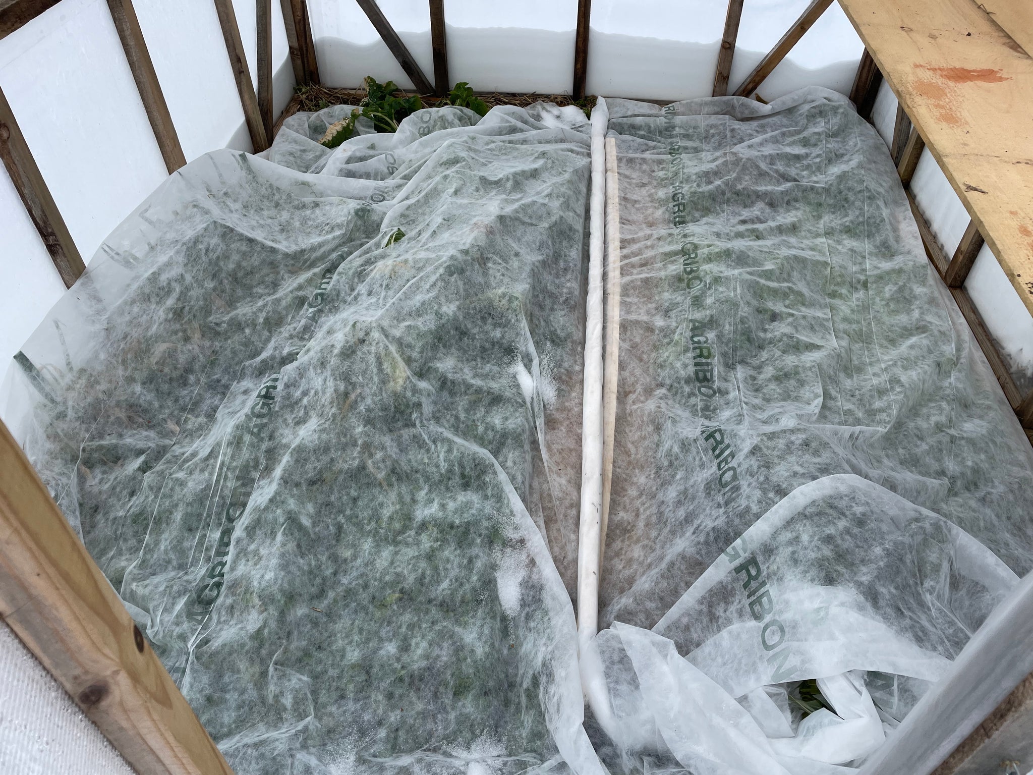 NEW! - Cold Frame Foundations: Build, Sow, and Grow Your Season