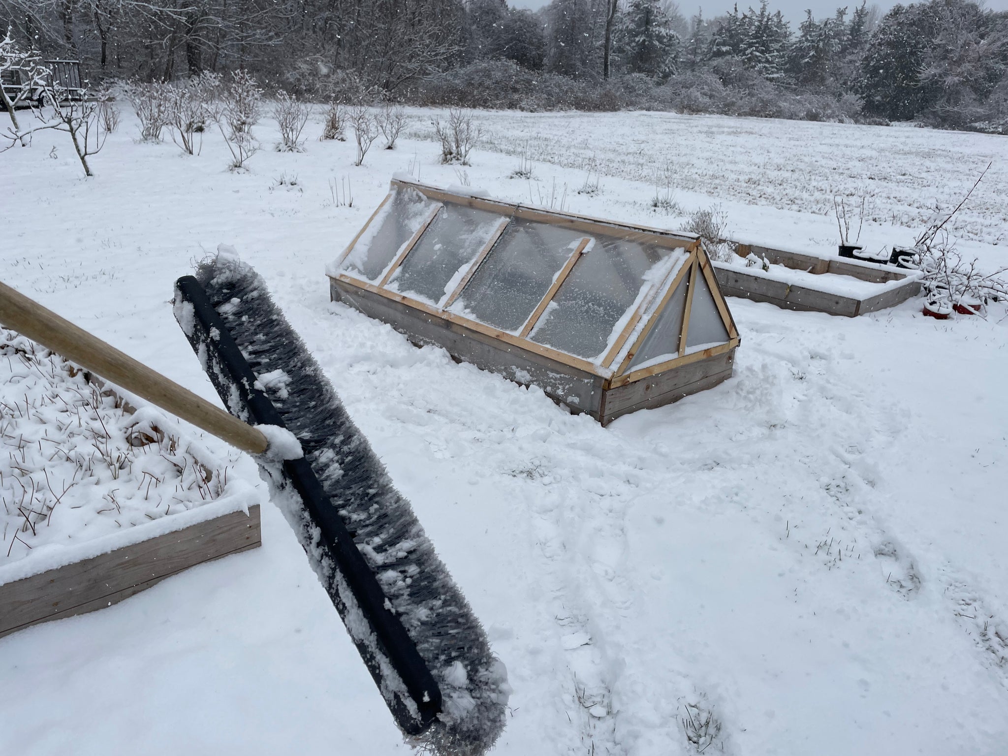 NEW! - Cold Frame Foundations: Build, Sow, and Grow Your Season