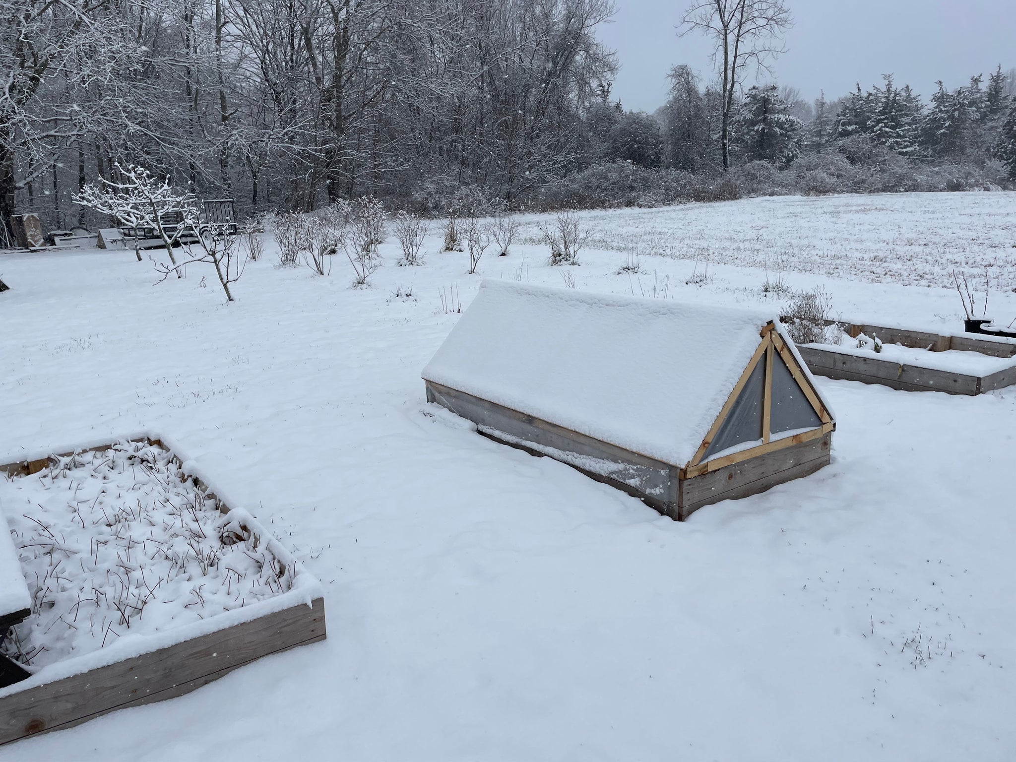 NEW! - Cold Frame Foundations: Build, Sow, and Grow Your Season