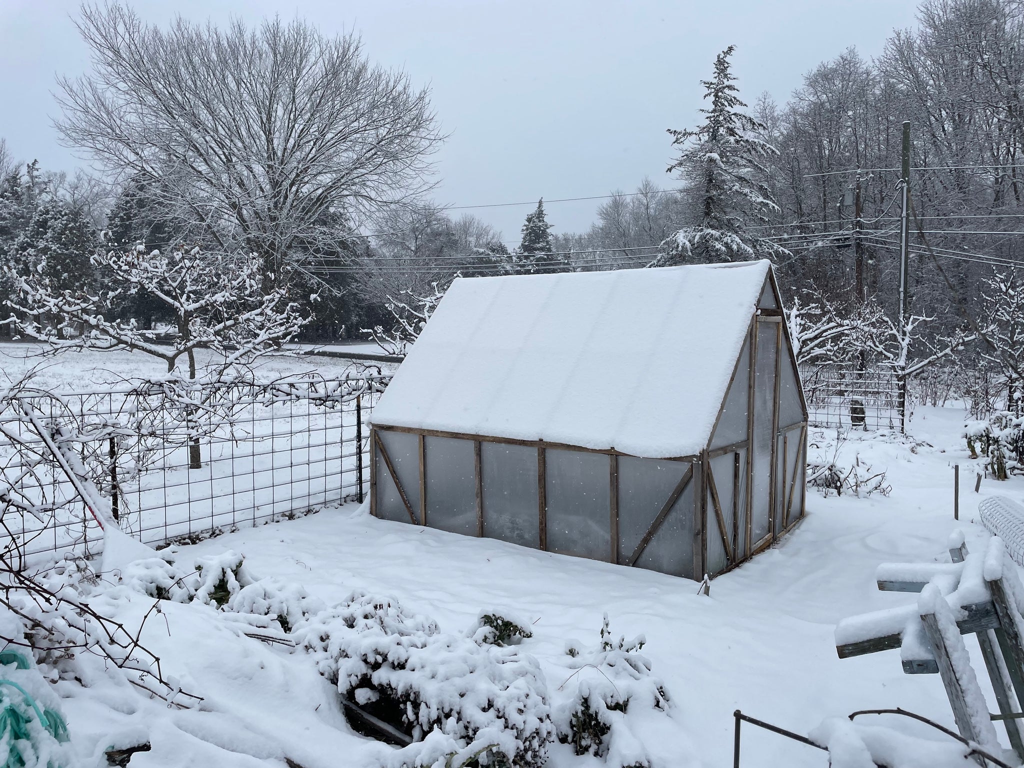 Extend Your Growing Season: Mastering Fall, Winter, and Spring Crops