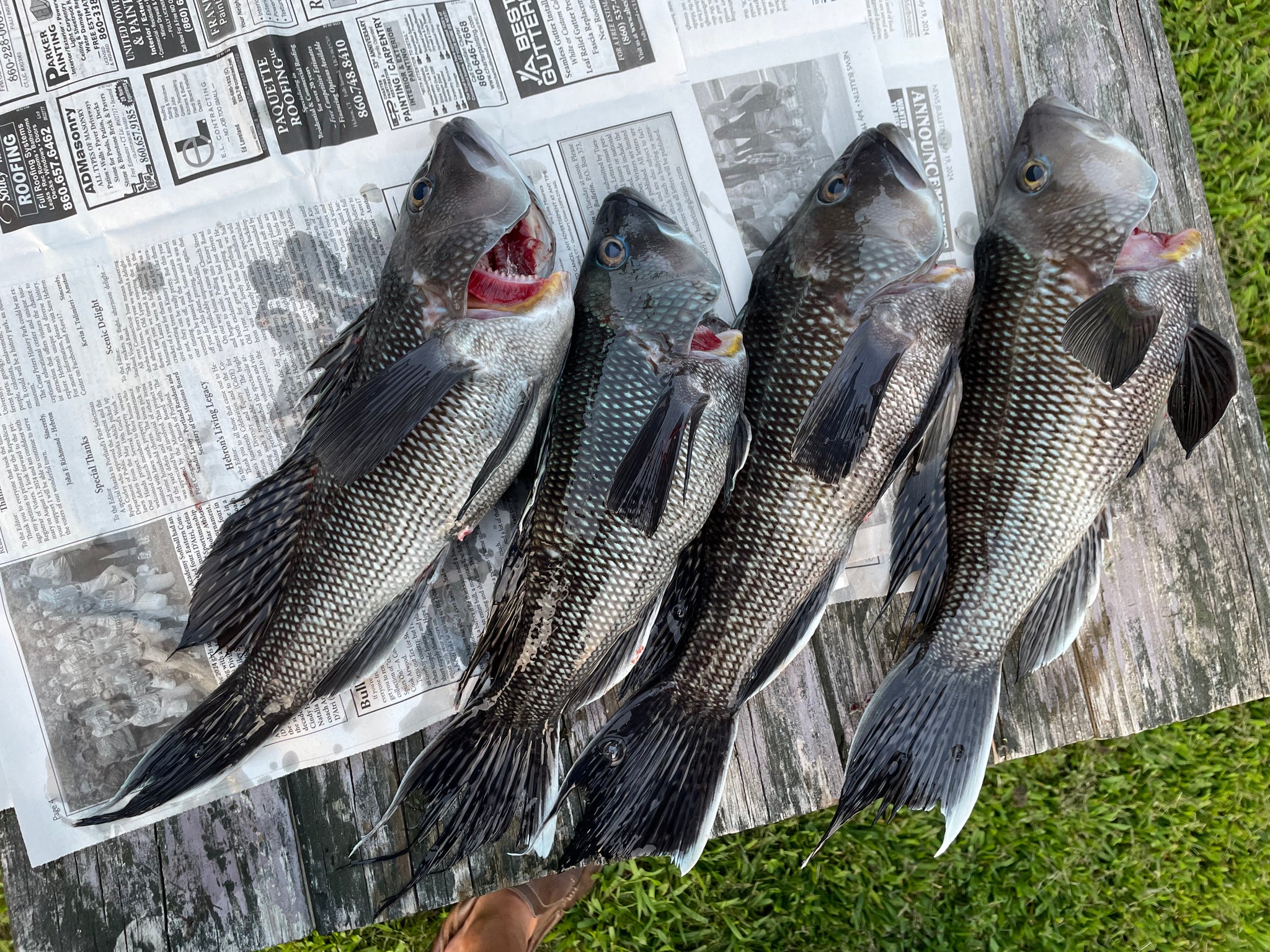 NEW! - Tackling the Depths: Boating Strategies, Finding Spots, and Bottom Bait Fishing in Long Island Sound